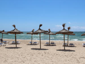 NLP Mallorca Impressionen